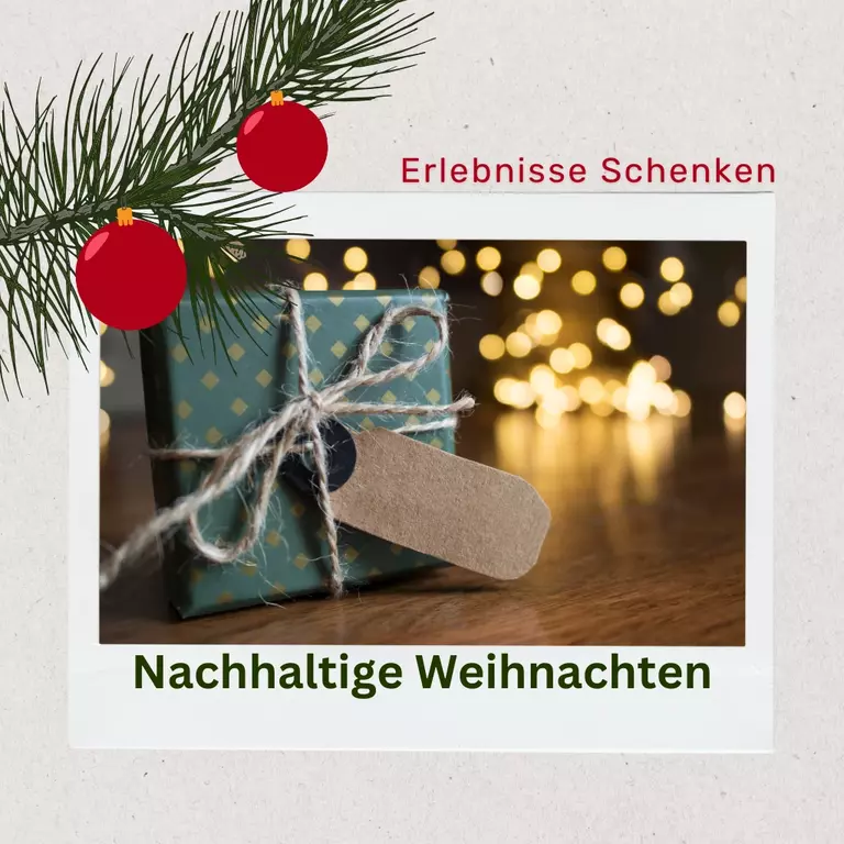Mehr über den Artikel erfahren Zeit statt Zeug: Warum Erlebnisgeschenke für Kinder an Weihnachten die beste Wahl sind